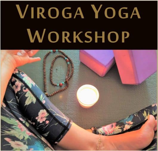 Viroga Yoga Workshop